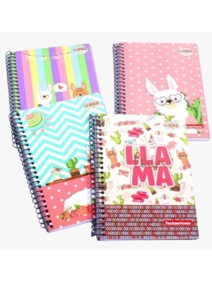 CADERNO 1/4 ESPIRAL CAPA DURA 96FLS NO DRAMA LLAMA UN.
