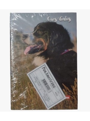 CADERNO COSTURADO 1/4 96FLS CAES E GATOS