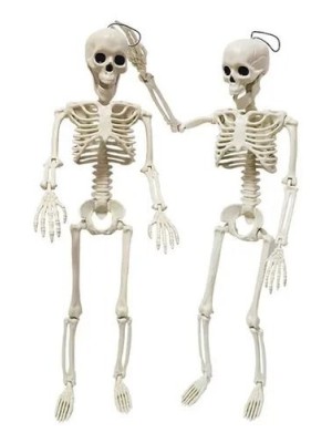 Conjunto 2 Caveiras Decorativas Halloween