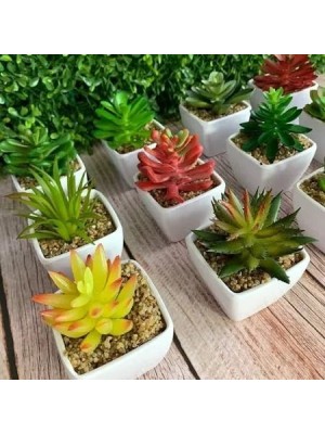 Planta Artificial Decorativa com Vaso Quadrado 6x8cm para Mesa, Escritório, Sala e Nichos – Suculenta Realista para Decoração de Ambientes