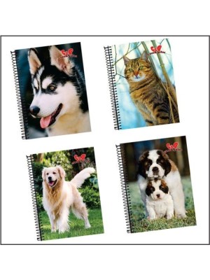 CADERNO UNIV. CAES E GATOS 300FLS 15M CAPA DURA UN.